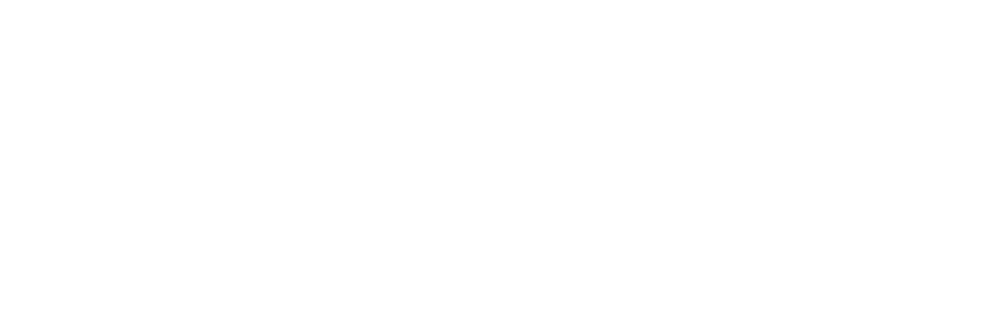 Logo de MAMS Computers® en blanc